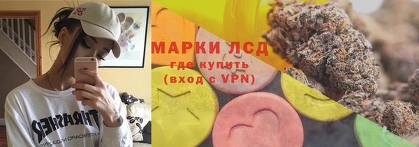стаф Алзамай