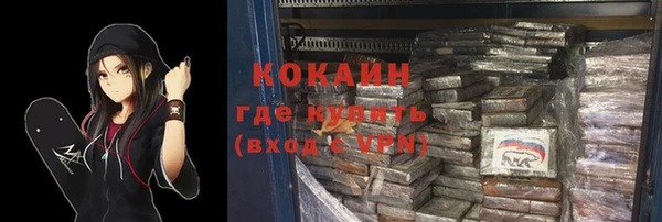 стаф Алзамай