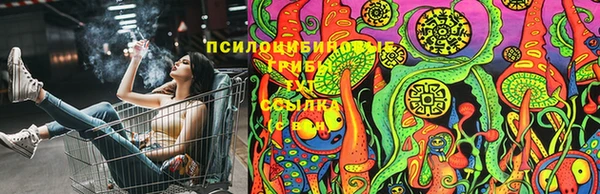 прущий лед Абаза