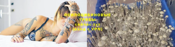 прущий лед Абаза