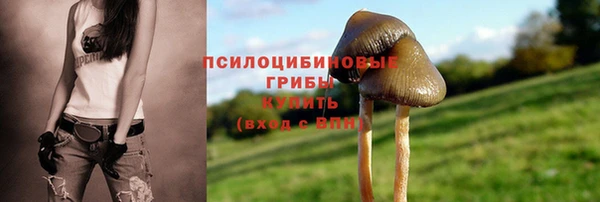 скорость Абинск