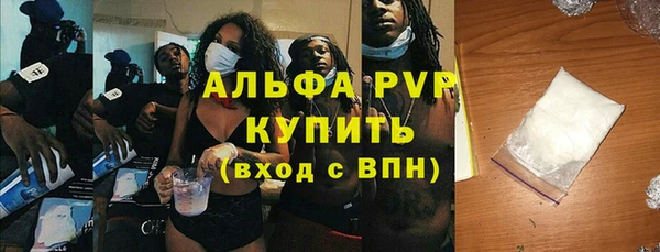 стаф Алзамай