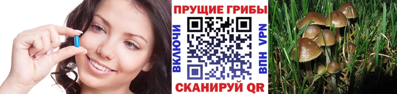 купить наркотик  Октябрьский  Псилоцибиновые грибы ЛСД 